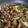 クックP997OP☆'s cooksnap of when they made とり皮レタス炒め.