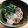 azbjbn's cooksnap of when they made 絶品^^☆納豆おろし大根添え☆さっぱり!.