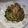 じんぴ◎'s cooksnap of when they made ゴーヤ簡単胡麻和え.