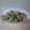 ３７チュウ's cooksnap of when they made 豚肉とセロリの炒め.
