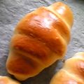 BUTAベーカリー's cooksnap of when they made HBで基本のバターロール♪.