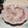 シートー's cooksnap of when they made 鯛を三枚おろし⇒刺身にしてみます.
