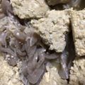 マリアマリママ's cooksnap of when they made ふわふわ豆腐つくね団子(れんこん入り).