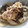 ぽぽぽんきち's cooksnap of when they made 豚バラとキノコの炒め煮おろし合え.