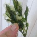 むりもん's cooksnap of when they made 簡単！天ぷら衣.