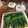おきょうねえ's cooksnap of when they made 【作り置き】オクラの和風ねぎ塩マリネ.