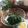 おきょうねえ's cooksnap of when they made ☺簡単おつまみ♪ニラの味噌和え☺.
