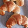 ﾍﾟﾈﾛﾍﾟ2009's cooksnap of when they made コンテナー容器で簡単♡手作り塩パン.