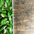 カズ形33's cooksnap of when they made ししとうのニンニク炒め.