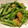 ベティ３'s cooksnap of when they made 中華の定番！空芯菜とニンニクの炒め物.