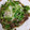 ピコママさん's cooksnap of when they made 牛肉とモヤシの変わりソース炒めおろし乗せ.