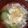 canadawhistler's cooksnap of when they made 我が家のズッキーニ中華スープ.