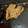 クック6VD7TN☆'s cooksnap of when they made 鯵の卵煮付け.
