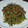 クックVOY1Q3☆'s cooksnap of when they made 隠し味がポイント！ほうれん草のごま和え.
