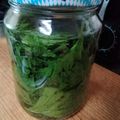 あんこだよ。's cooksnap of when they made 自家製☆とっておきの紫蘇焼酎.