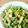 ふみこばあ's cooksnap of when they made 簡単！苦くない！ゴーヤのカレーマヨ炒め.