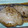 やつーこ's cooksnap of when they made 和食の定番☆ぶりの照り焼き.