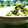 yangpa's cooksnap of when they made きゅうりとかにかまの胡麻油和え.