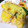953314's cooksnap of when they made ささみの大葉チーズ&わさびマヨ.