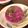 みそじーさん's cooksnap of when they made おしゃれなエディブルフラワーの二層ゼリー.