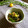 haruku221's cooksnap of when they made チンゲン菜と舞茸炒め♪簡単野菜炒め.