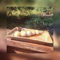 WaveMom's cooksnap of when they made タレたっぷりもちもちみたらし団子.
