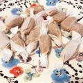 Yuriiimama's cooksnap of when they made 超簡単！手作りキャラメル.