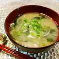 アイリッシュショコラ's cooksnap of when they made 節約♪もやしとワカメの味噌汁.