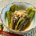 アイリッシュショコラ's cooksnap of when they made 茄子とオクラとピーマンの煮浸し.