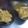 ベルmadame's cooksnap of when they made 冬瓜（とうがん）のツナ炒め.