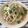 クックTLEAZQ☆'s cooksnap of when they made ジェノベーゼ風ブロッコリーパスタ.