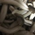 ma___111's cooksnap of when they made かんたん酢できのこのマリネ　作り置き　夏.