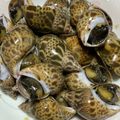 ♡☆アクア☆♡'s cooksnap of when they made ばい貝の煮付け.