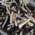 もりのりころ's cooksnap of when they made ひじきとシャキシャキ野菜の酢の物.