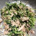 紗重桂's cooksnap of when they made 【 ツナと豆苗の梅マヨサラダ 〗.