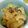ARASHI_大好き's cooksnap of when they made 焼きエリンギ☆サラダ風～マヨポン味～.