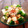 あーこ姐's cooksnap of when they made おくらと山芋の梅おかか和え.
