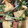 クックQCM0DS☆'s cooksnap of when they made トマトと水菜と油揚げ.