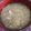 アルカママ's cooksnap of when they made 鶏肉とネギの鶏白湯、中華風雑炊(おじや).