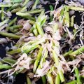 reracise's cooksnap of when they made アスパラときのこのガーリック炒め.