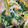 クックZ899EX☆'s cooksnap of when they made 空芯菜とツナともやしで中華風炒め★.
