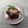 horseland's cooksnap of when they made アイスとあんこで✿和風パフェ✿.