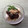 horseland's cooksnap of when they made アイスとあんこで✿和風パフェ✿.
