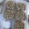ほなさん♡0172's cooksnap of when they made 【離乳食後期】冷凍OK！ふんわり鶏そぼろ.