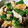 ｍａＵ３'s cooksnap of when they made オクラとしめじのおろポン和え.