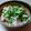 楽食いちばん's cooksnap of when they made オクラと長芋のネバシャキ和え.