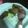 クックY37APD☆'s cooksnap of when they made 我家のとろとろピーマンでピーマン嫌い克服.