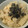 Tiara's cooksnap of when they made ツナと筍の炊き込みご飯.