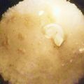 ame-ikuru's cooksnap of when they made バターライス（炊飯器で炊くだけ簡単！）.