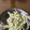 ha♡'s cooksnap of when they made ゴーヤのめんつゆマヨ炒め.
